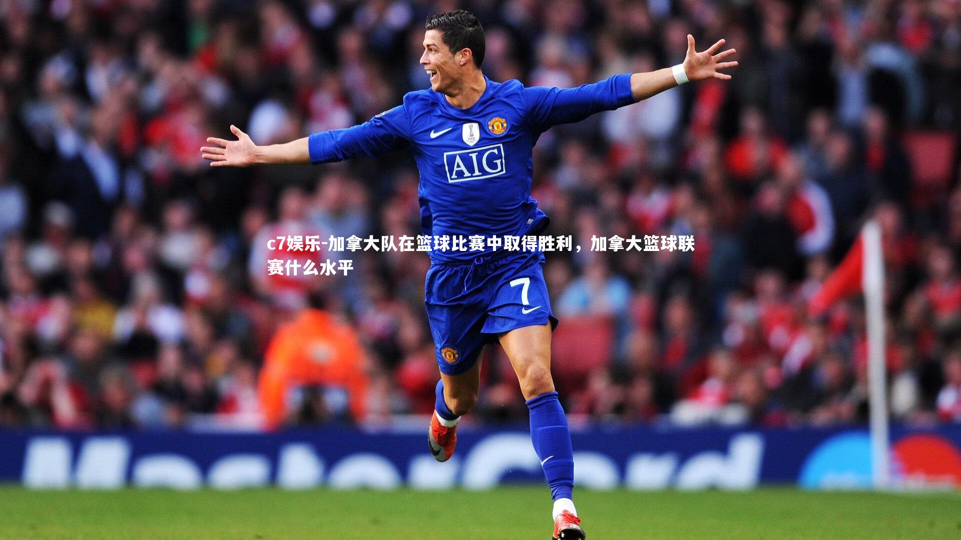 加拿大队在篮球比赛中取得胜利，加拿大篮球联赛什么水平