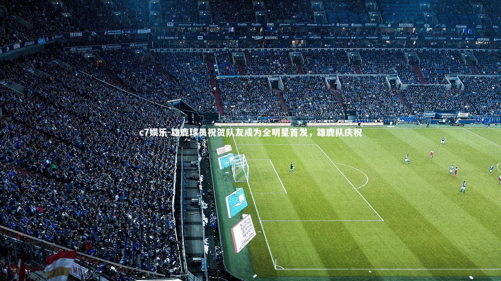 c7娱乐-雄鹿球员祝贺队友成为全明星首发，雄鹿队庆祝